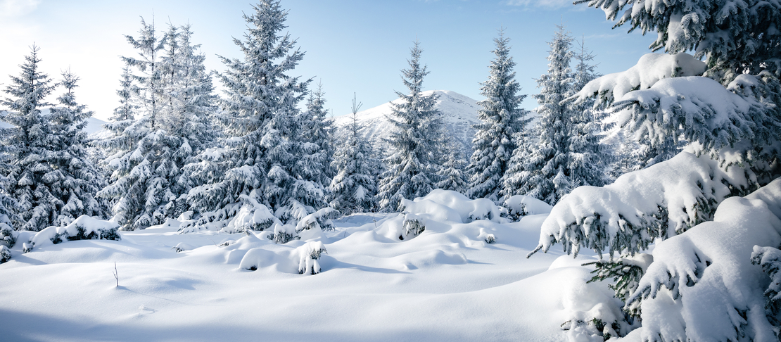 La palette dell’Inverno per l’armocromia